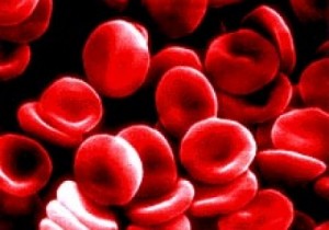 La concentración de ozono en los glóbulos rojos